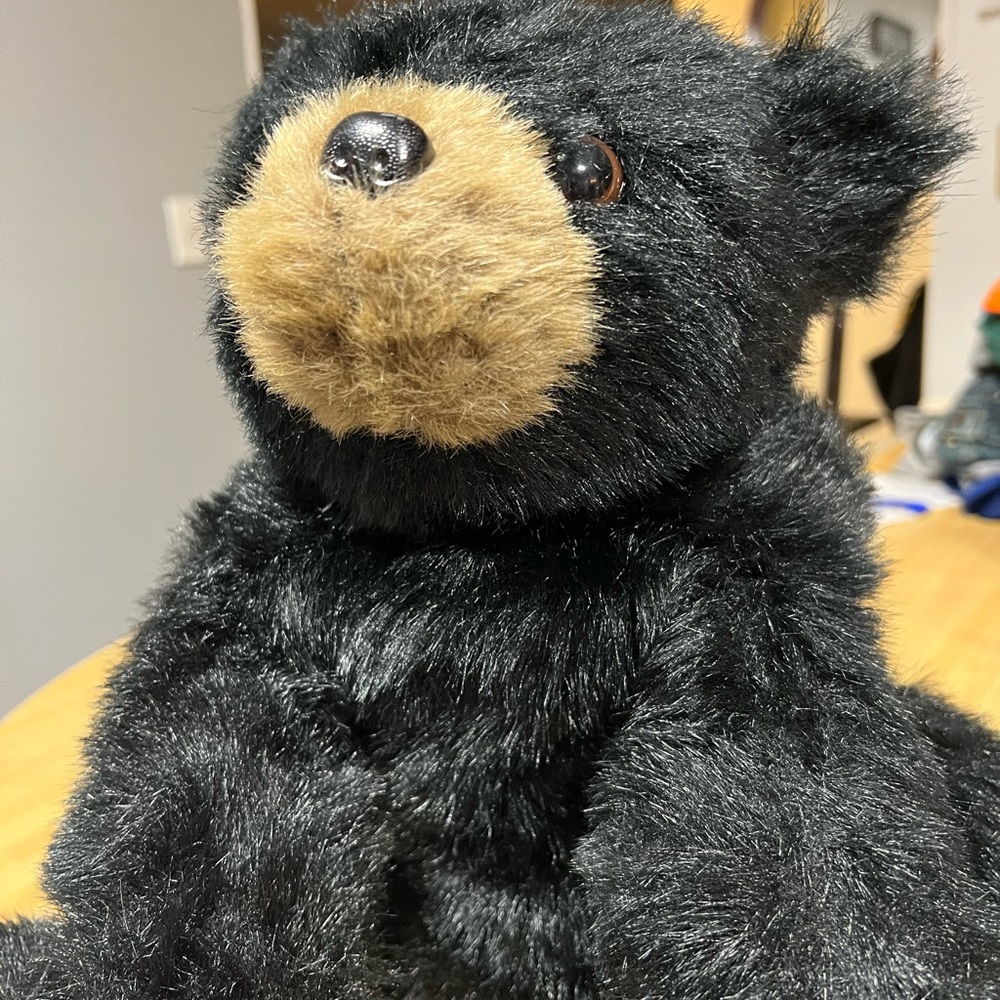 Like new black bear snugly